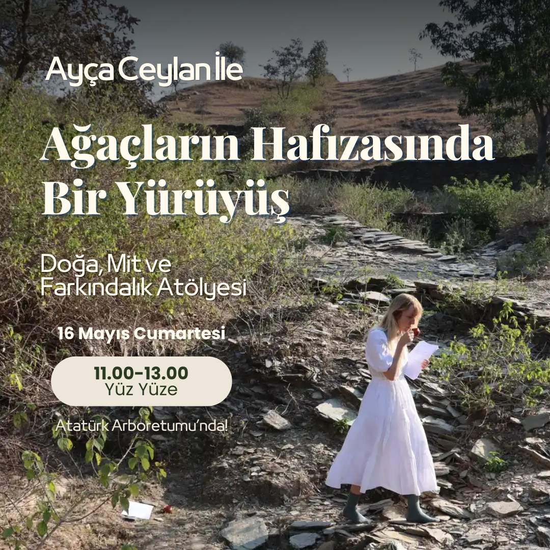 Ayça Ceylan ile Ağaçların Hafızasında Bir Yürüyüş