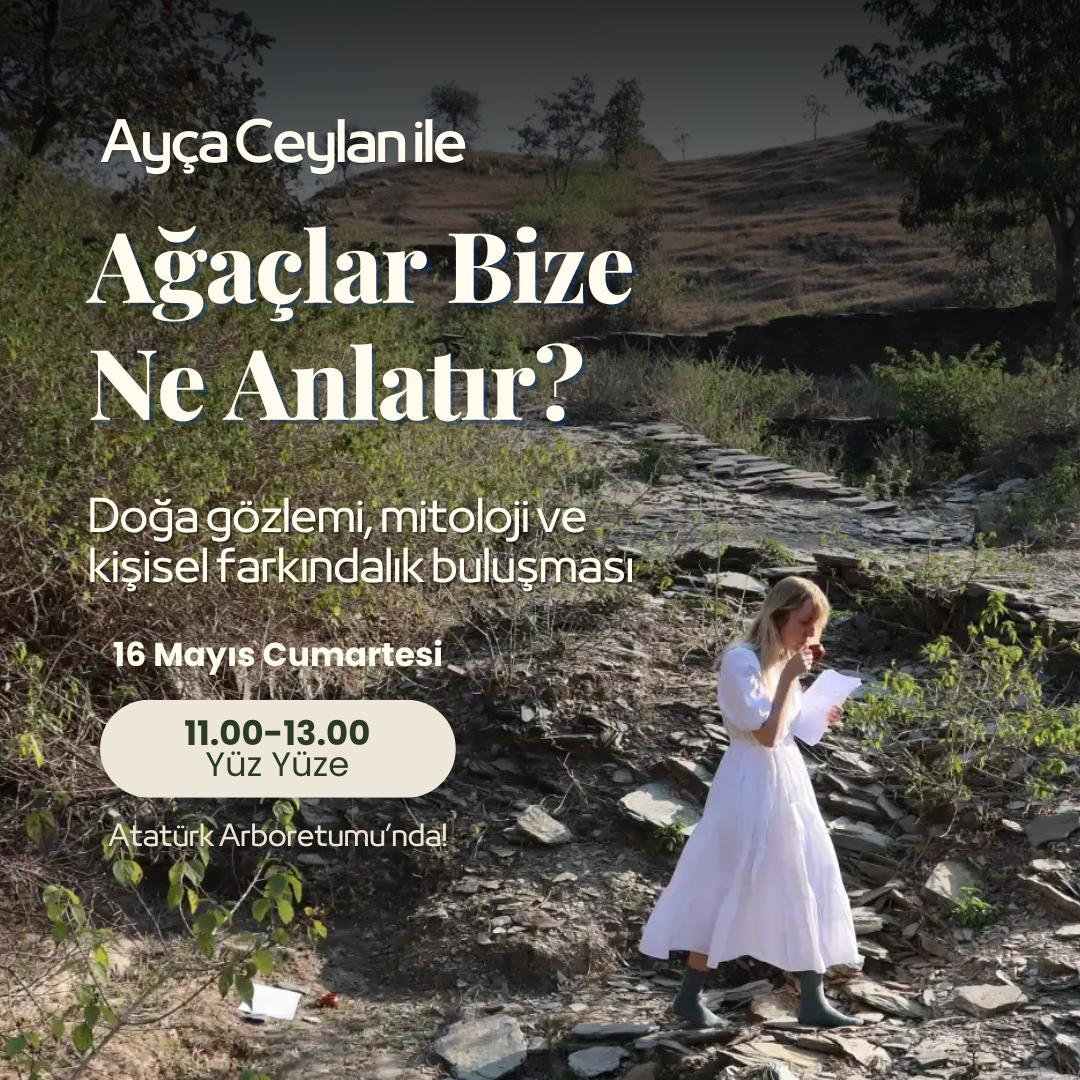 Ayça Ceylan ile Ağaçlar Bize  Ne Anlatır?